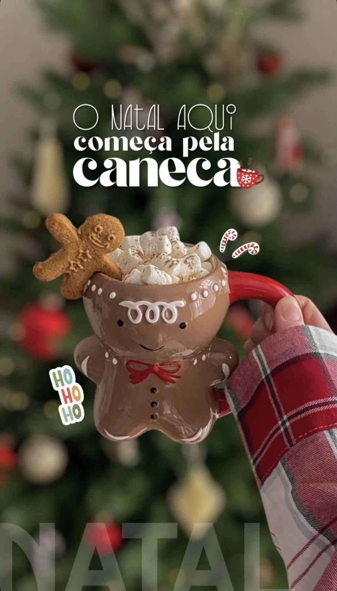 Exemplo de Story com Figurinhas